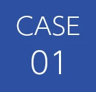 case01